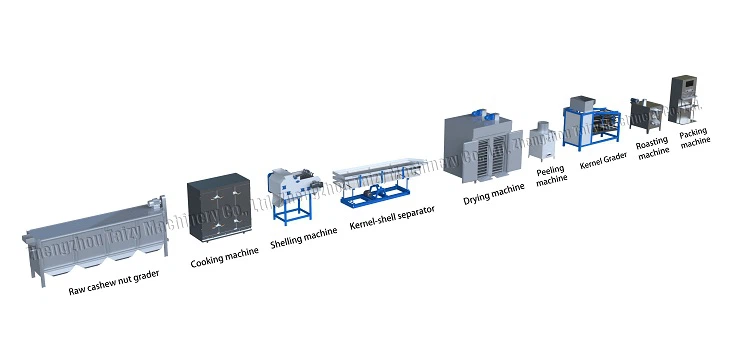cashew nut processing line cashew nut processing line