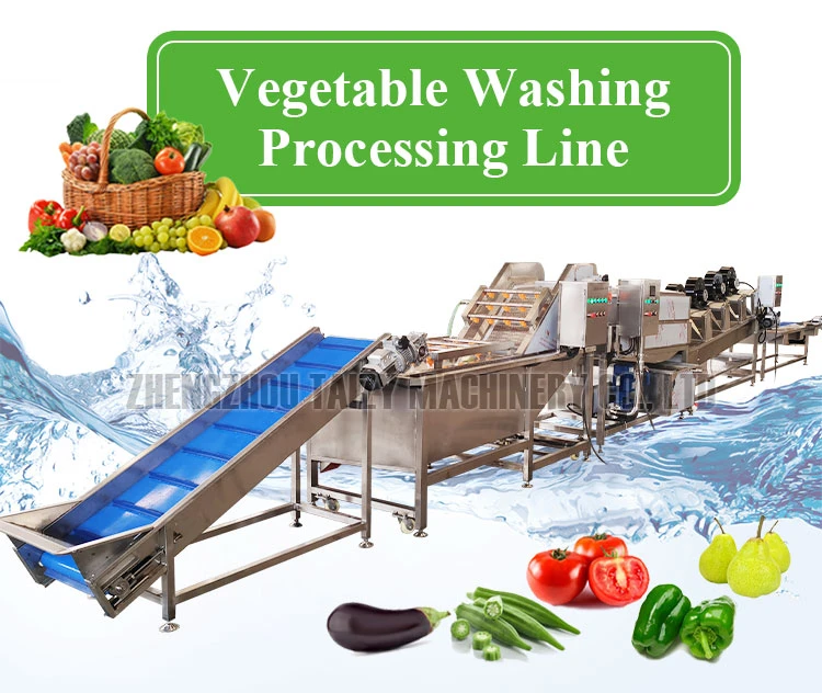 Vegetable Washing Line Vegetable Washing Line