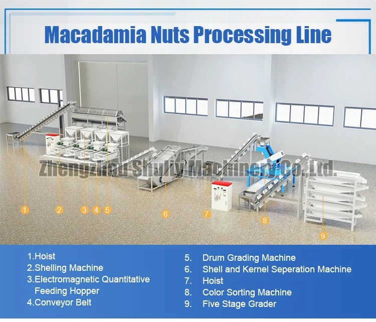 macadamia processing machine macadamia processing machine
