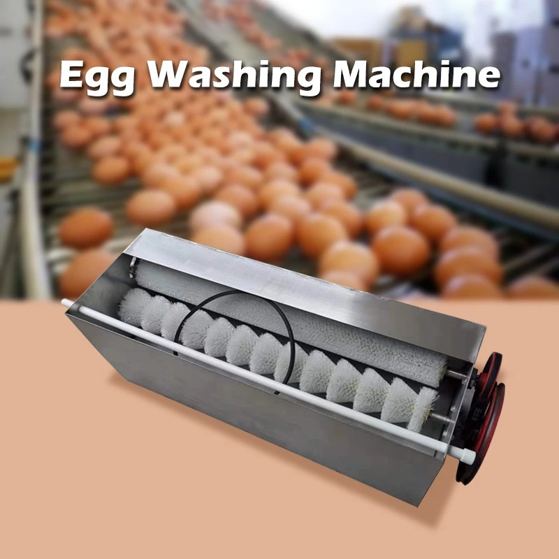 small egg washer small egg washer