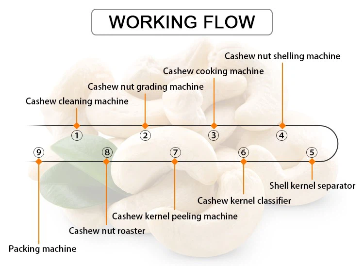 cashew nut processing line cashew nut processing line