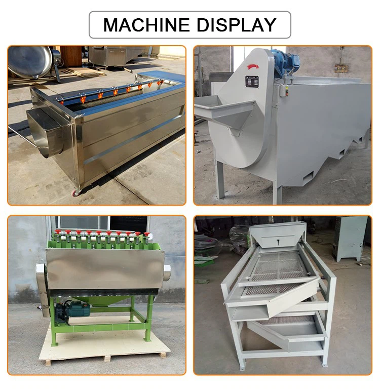 cashew nut production line cashew nut production line