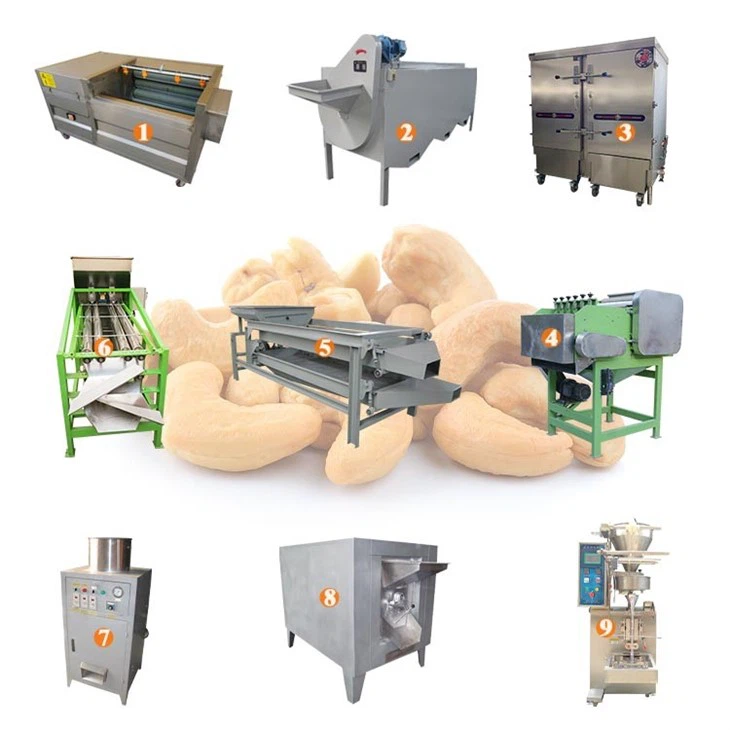 cashew nut processing machine