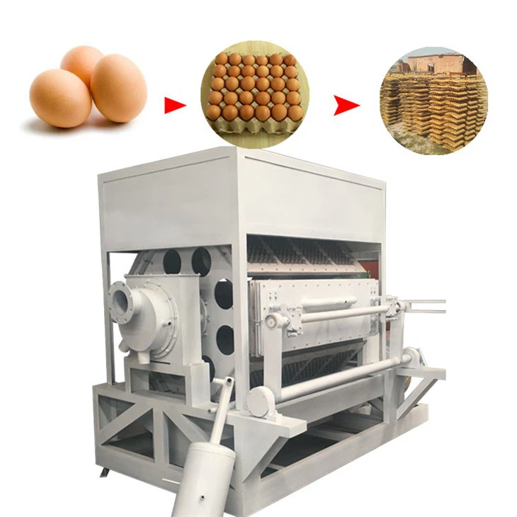 egg carton machine