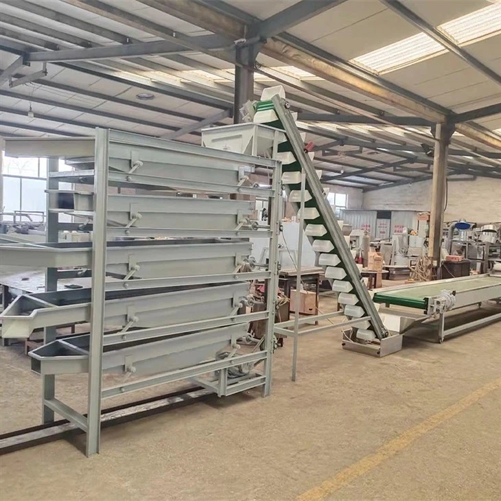 macadamia nuts processing plant