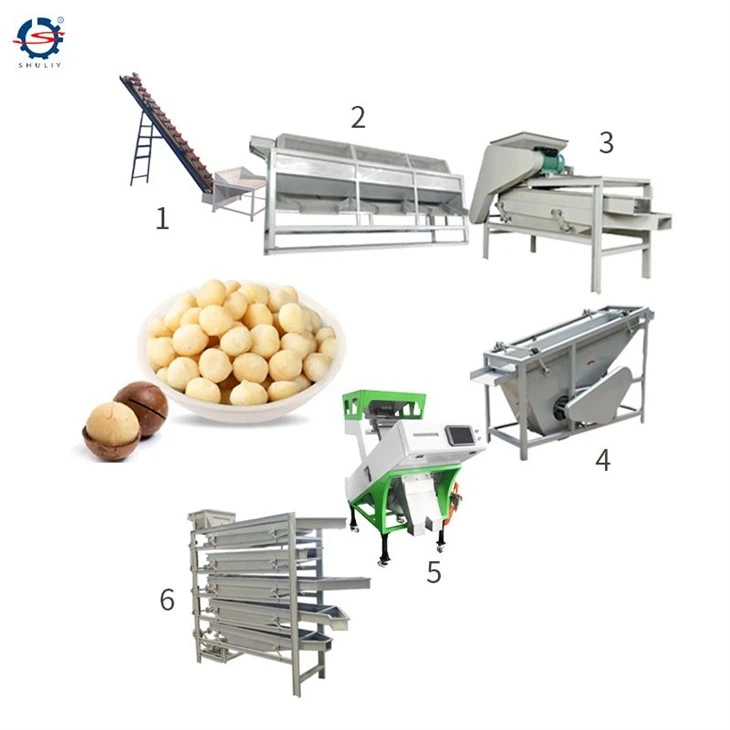 macadamia processing machine