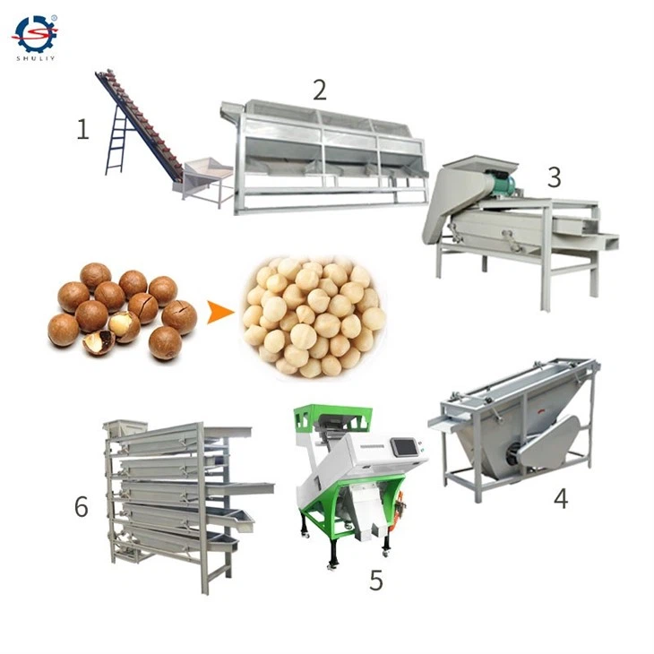 almond processing machine