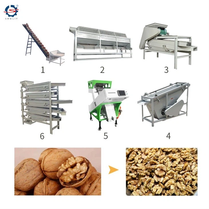 walnut processing machine