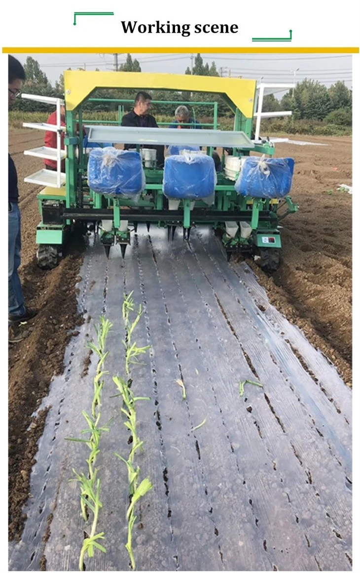 crawler transplanter (4)