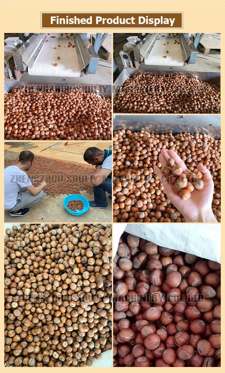 Pistachio Nuts Opening Machine Pistachio Nuts Opening Machine