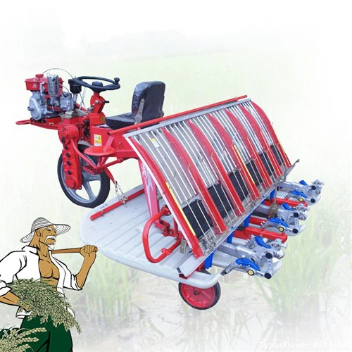 Trasplantadora automática de arroz