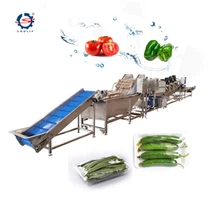 Línea de producción de lavado de frutas y verduras