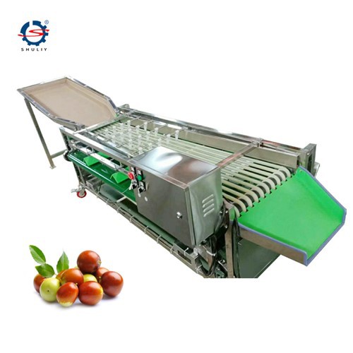 Máquina clasificadora de frutas